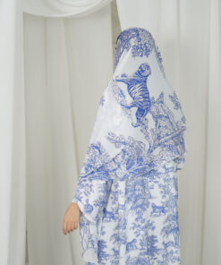 Alternative view of WR 9