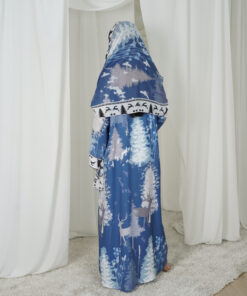 Alternative view of WR 3