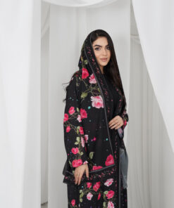 Alternative view of WR 6